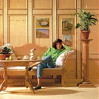 Stenske in stropne obloge