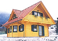 Povr�inska za��ita stavbnega pohi�tva